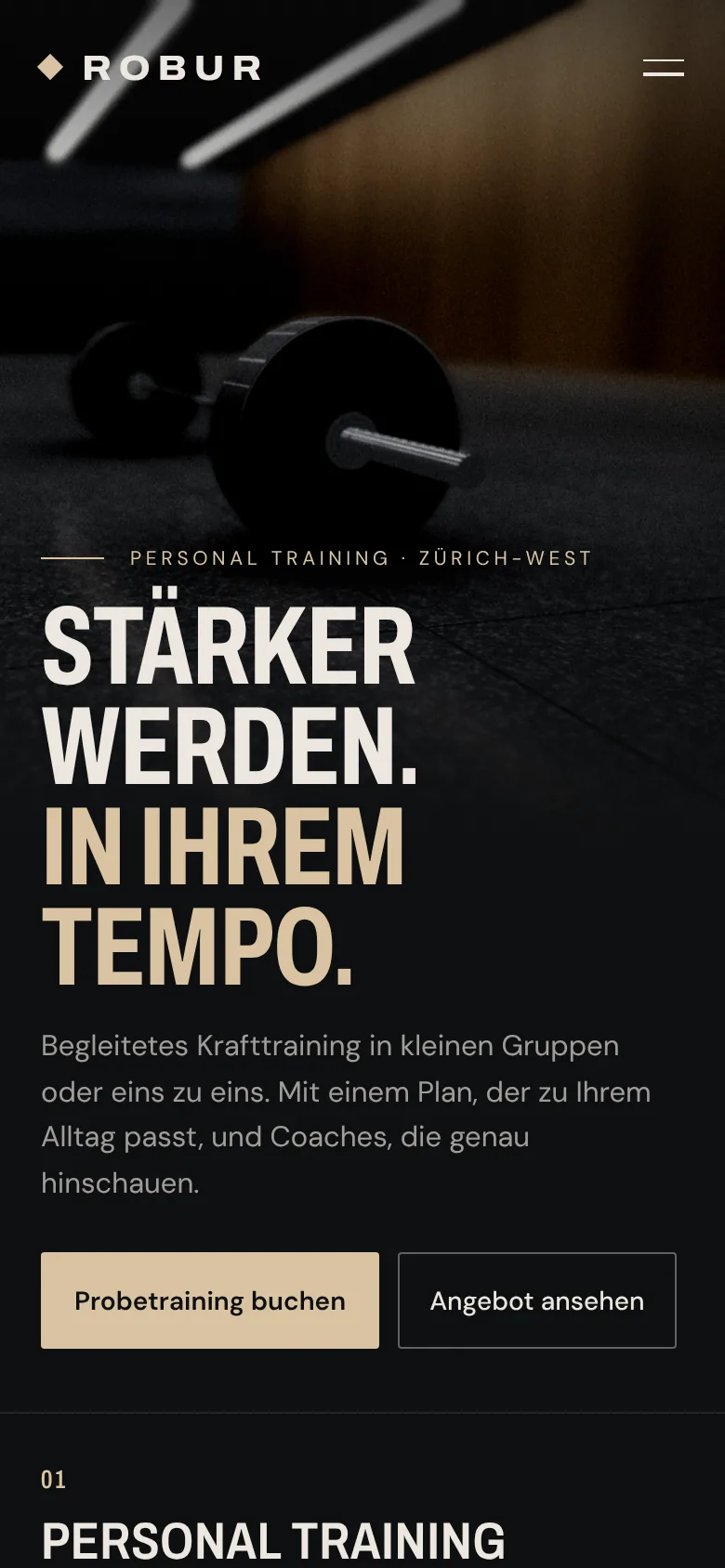Beispiel-Design: Fitnessstudio (Studio Robur, fiktive Marke)